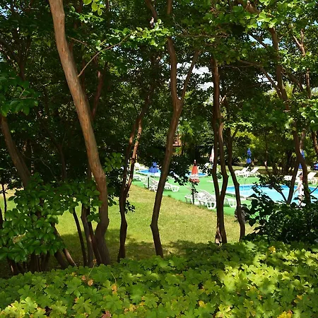 Chaika Hotel